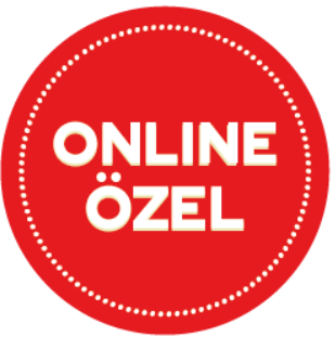 ONLİNE OZEL_Çalışma Yüzeyi 1_Çalışma Yüzeyi 1 (1).png (33 KB)